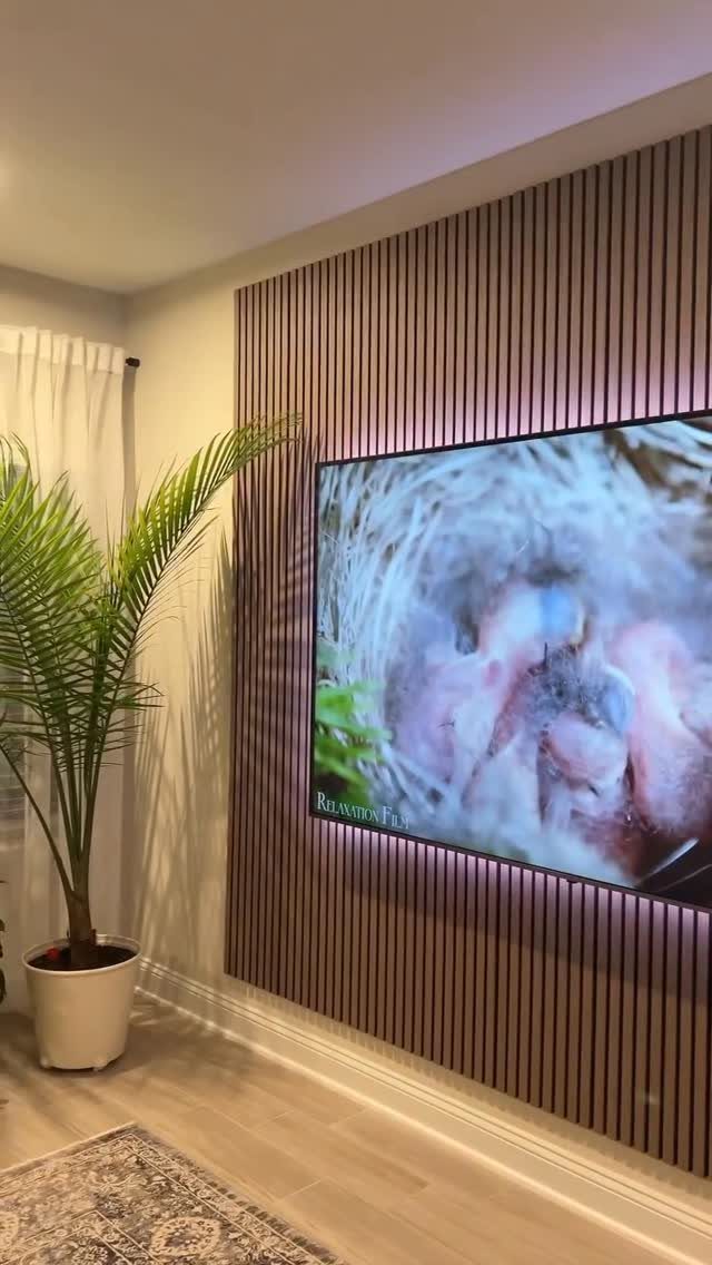 A television mounted on a vertical wood slat accent wall next to a potted palm plant.